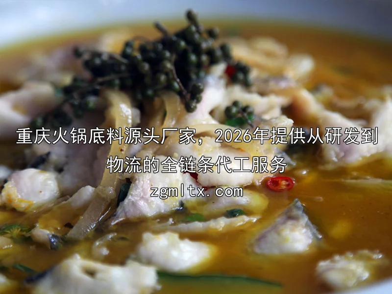 重庆火锅底料源头厂家，2026年提供从研发到物流的全链条代工服务