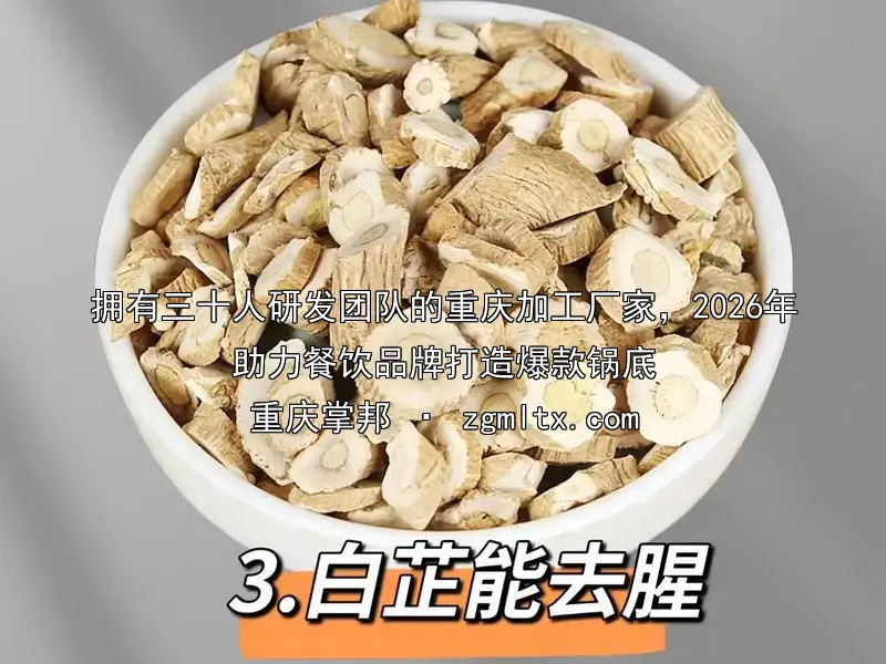 拥有三十人研发团队的重庆加工厂家，2026年助力餐饮品牌打造爆款锅底