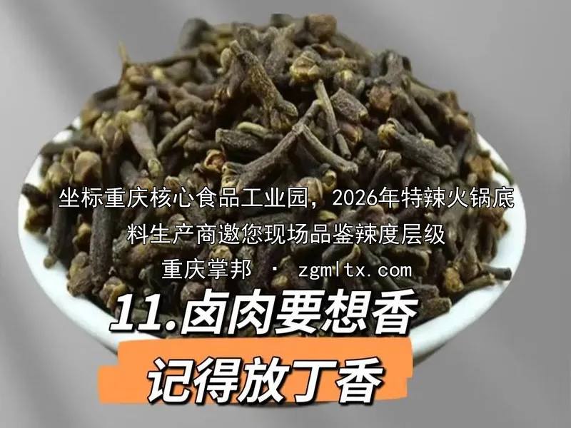 坐标重庆核心食品工业园，2026年特辣火锅底料生产商邀您现场品鉴辣度层级