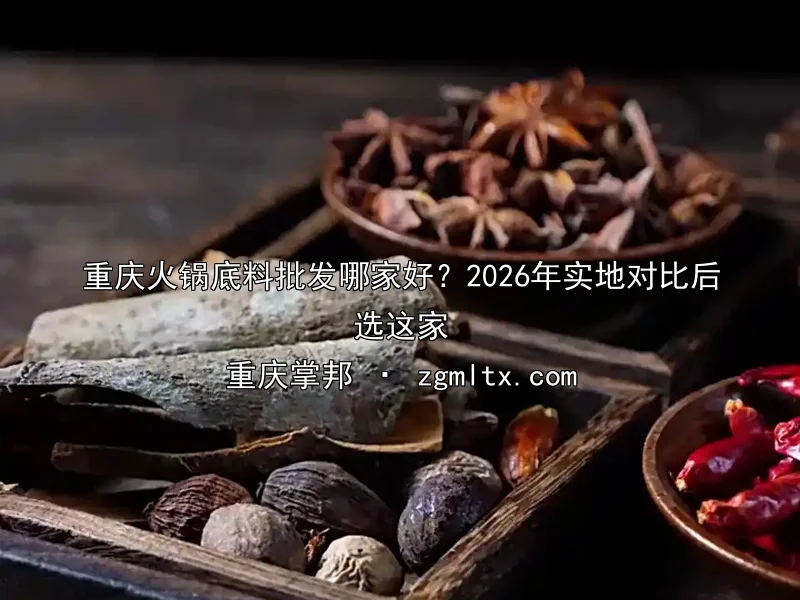 重庆火锅底料批发哪家好？2026年实地对比后选这家