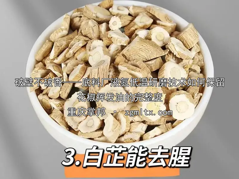 破壁不破香——底料厂液氮低温研磨技术如何保留花椒挥发油的完整度