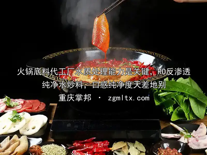 火锅底料代工厂水质处理能力是关键，RO反渗透纯净水炒料，口感纯净度天差地别