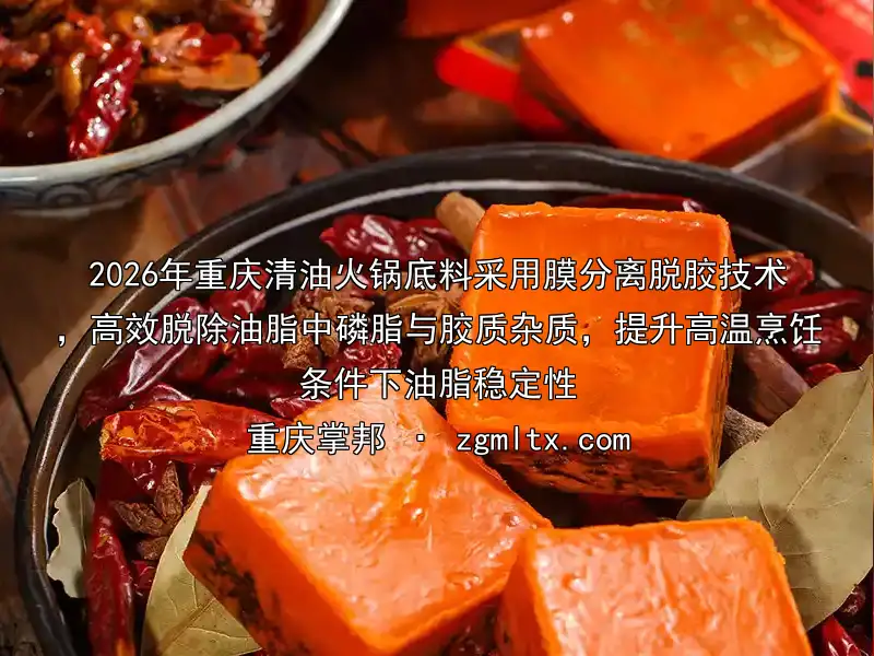 2026年重庆清油火锅底料采用膜分离脱胶技术，高效脱除油脂中磷脂与胶质杂质，提升高温烹饪条件下油脂稳定性