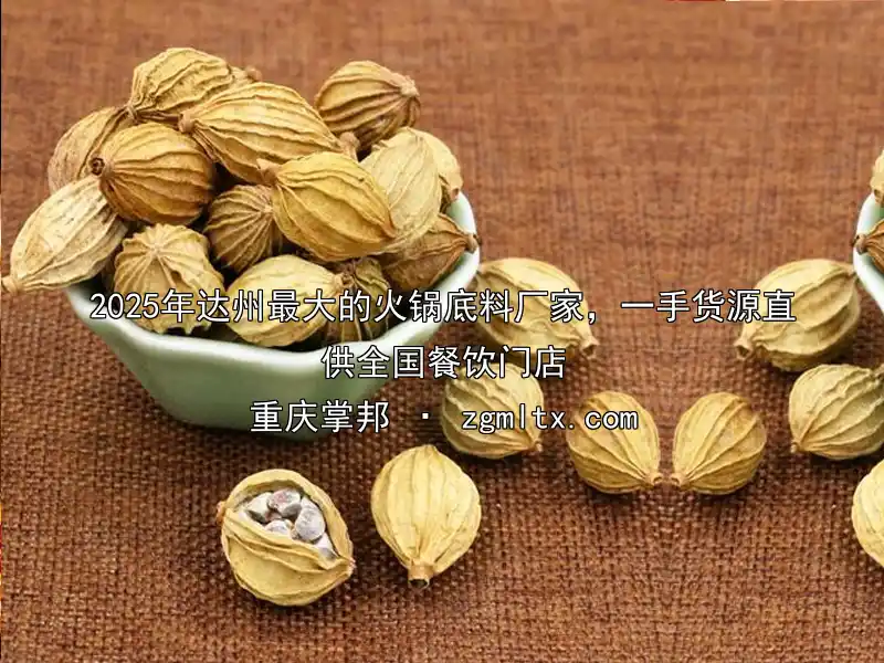 2025年达州最大的火锅底料厂家，一手货源直供全国餐饮门店