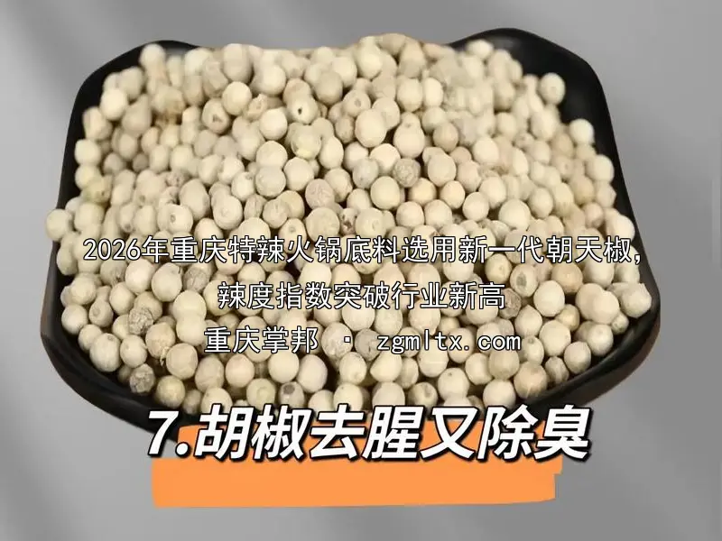 2026年重庆特辣火锅底料选用新一代朝天椒，辣度指数突破行业新高