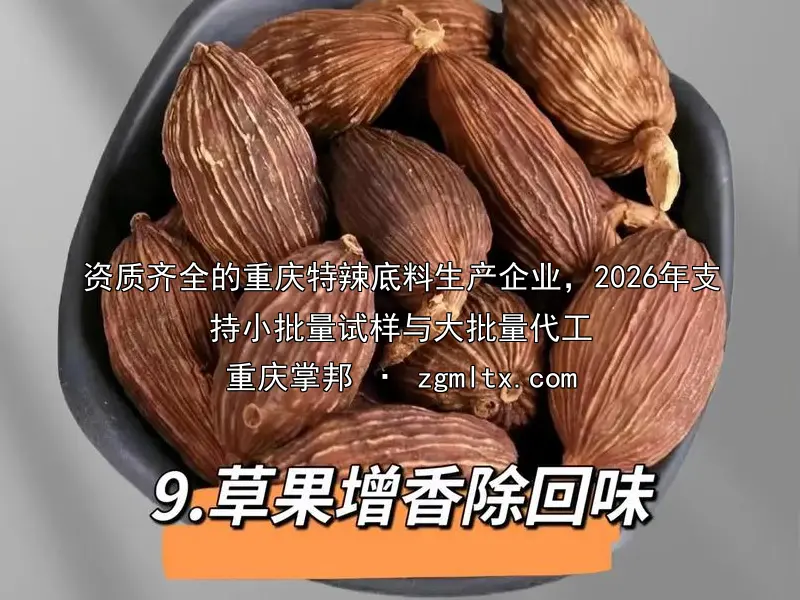 资质齐全的重庆特辣底料生产企业，2026年支持小批量试样与大批量代工