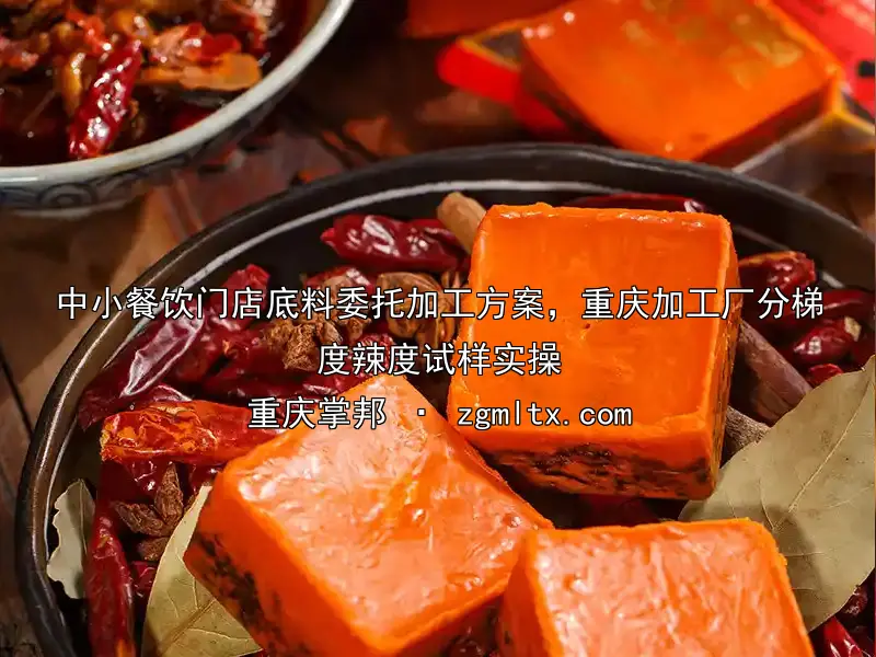 中小餐饮门店底料委托加工方案，重庆加工厂分梯度辣度试样实操