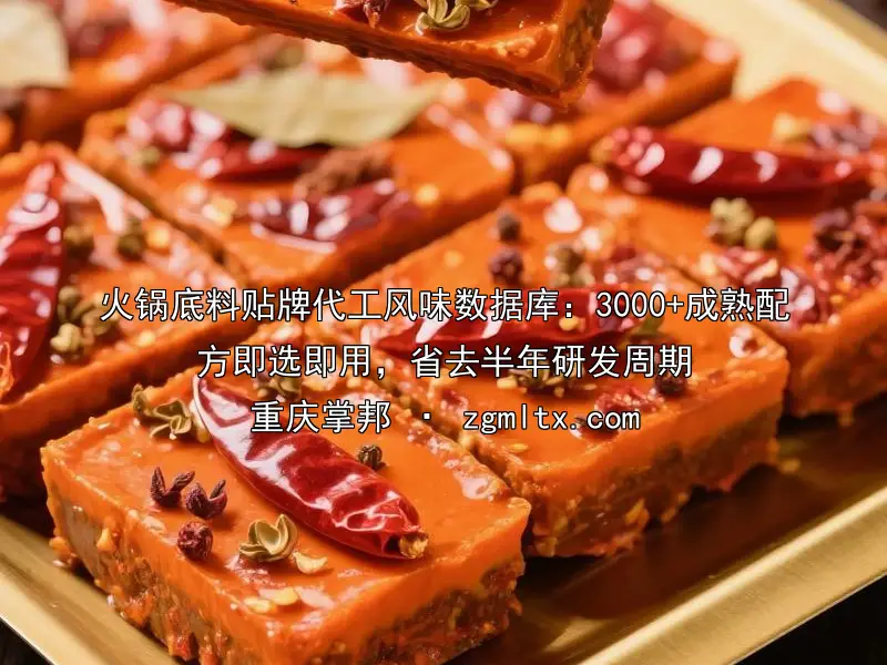 火锅底料贴牌代工风味数据库：3000+成熟配方即选即用，省去半年研发周期
